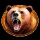 Raging Riches slot Bear symbol