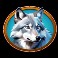 Raging Riches slot Wolf symbol