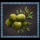Roman Emperors slot Olives symbol