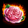 angel vs sinner slot pink rose symbol