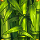 big bam book slot mystery bamboo symbol