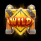 buildin bucks slot wild symbol