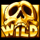 coins and cannons slot wild symbol