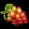 mirror joker slot grapes symbol