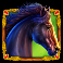 mustang gold megaways slot black mustang symbol