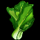 oodles of noodles slot pak choi symbol