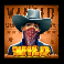 wanted unusual suspects slot orange outlaw wild symbol