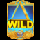 win o mart slot wild symbol