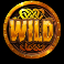 4 vikings go fishing slot wild symbol
