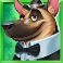 5 doggy millionaires dream drop slot german shepherd symbol