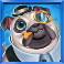 5 doggy millionaires dream drop slot pug symbol