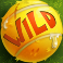 5 doggy millionaires dream drop slot wild symbol