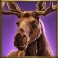 Bison Moon Megaways slot Moose symbol