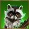 Bison Moon Megaways slot Raccoon symbol