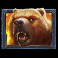 beasts of fire maximum slot bear symbol