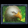 beasts of fire maximum slot eagle symbol