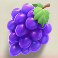 bill coin dream drop slot grapes symbol