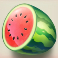 bill coin dream drop slot watermelon symbol