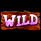booty ahoy slot wild symbol