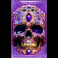 danger high voltage 2 slot skull symbol