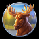 eagle storm slot moose symbol