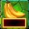king kong cash dj prime8 jk slot cash symbol