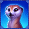 lions gigablox slot meerkat symbol