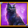 moon spell slot cat symbol