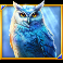 moon spell slot owl symbol