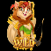 ms robin hood slot robin wild symbol