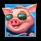 piggy town slot blue pig symbol