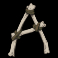 rabid randy slot a symbol