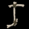 rabid randy slot j symbol