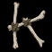 rabid randy slot k symbol