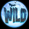 vampy party slot vinyl wild symbol