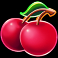 where the wilds are slot cherry symbol