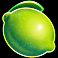 where the wilds are slot lime symbol