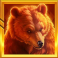 wild west buffalo blast slot bear symbol