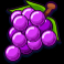 wins wheels slot grapes symbol