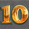 Golden Goose slot 10 symbol