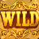 big bucks bison 10K slot wild symbol