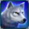 big bucks bison 10K slot wolf symbol