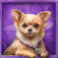 diamond doggies slot chihuahua symbol