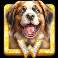 diamond doggies slot doggie wild symbol