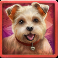 diamond doggies slot maltese symbol
