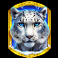 himalayan wild slot wild symbol