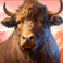 himalayan wild slot yak symbol