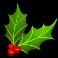 hot turkey slot holly symbol