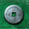 sakura fortune epic bloom slot silver coin symbol