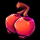 the secret forest slot cherries symbol
